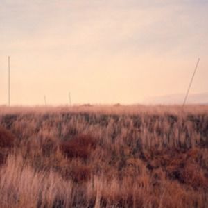 Meet your Posher, Cassidy